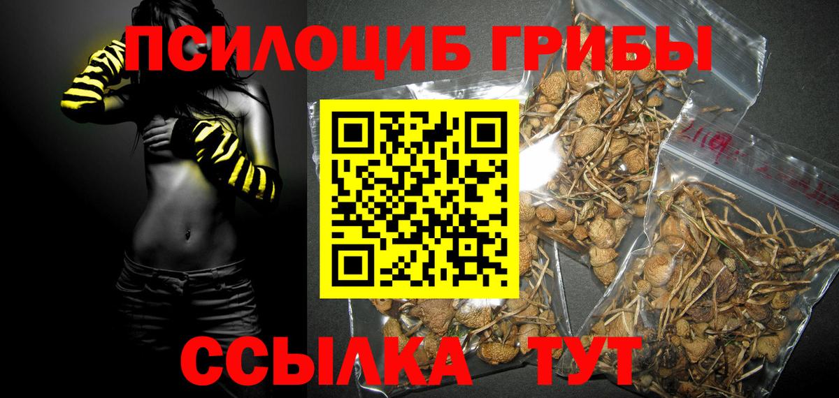Меф МЯУ МЯУ кристаллы  МАРИХУАНА  Cocaine  ГАШ  Мыски  НБОМе  МЕТАМФЕТАМИН  Вход с VPN  МАРИХУАНА  Альфа ПВП СОЛЬ  