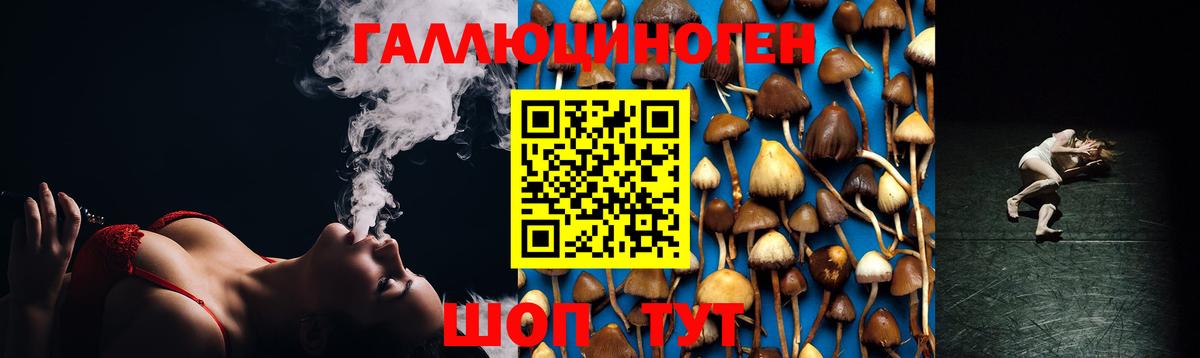Мыски  Псилоцибиновые грибы мухоморы  Вход с VPN 